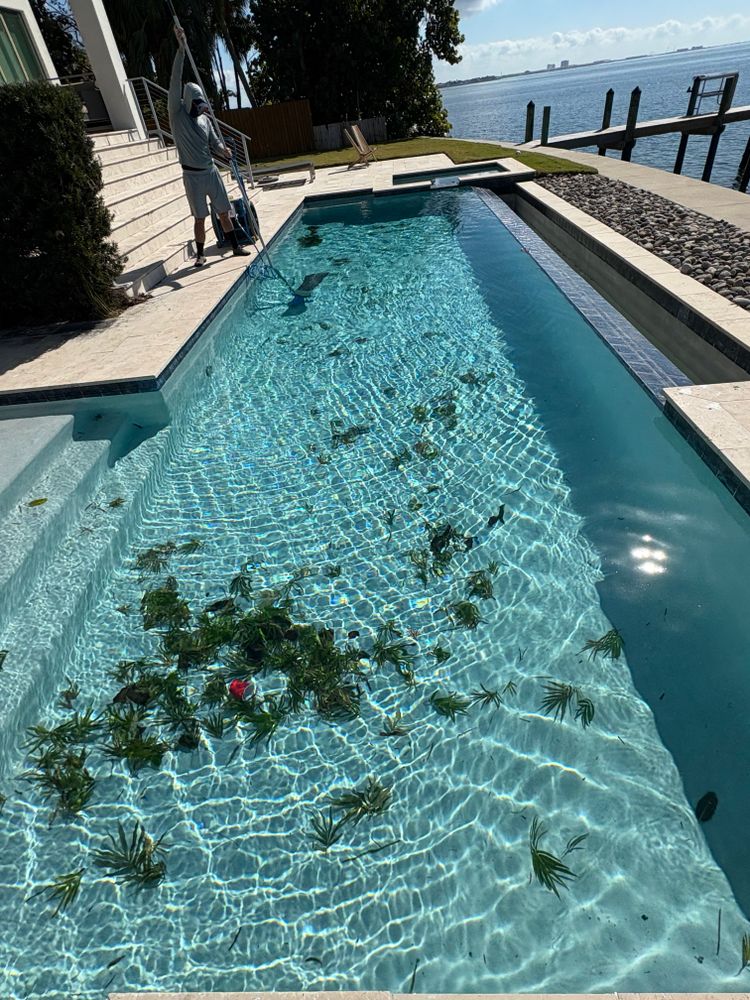 All Photos for Blue Bay Pools in Tampa, FL