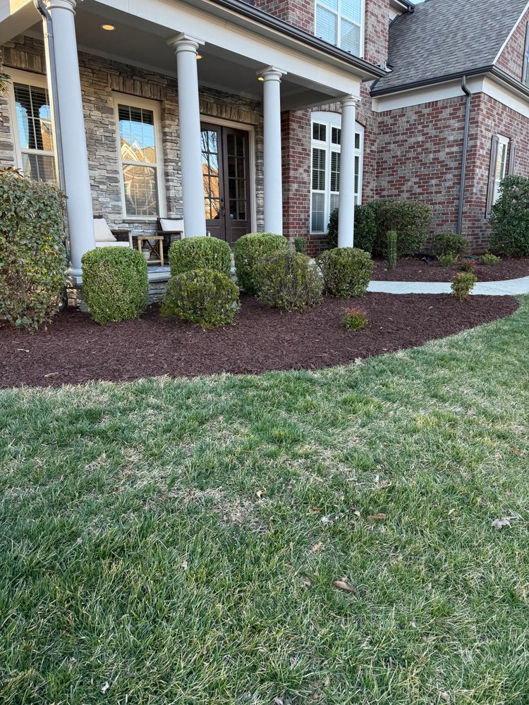 After for Dream Cuts Landscaping and Lawn Care LLC in Gastonia, NC