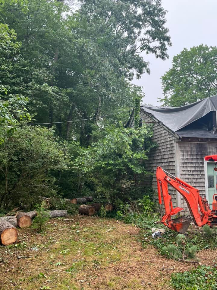 All Photos for Native Roots Tree Service in Falmouth, MA