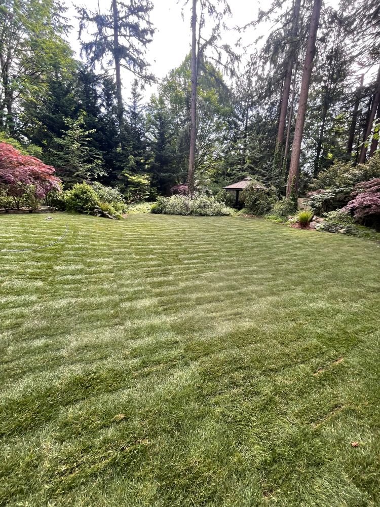 All Photos for Stealth Landscaping in Black Diamond, WA