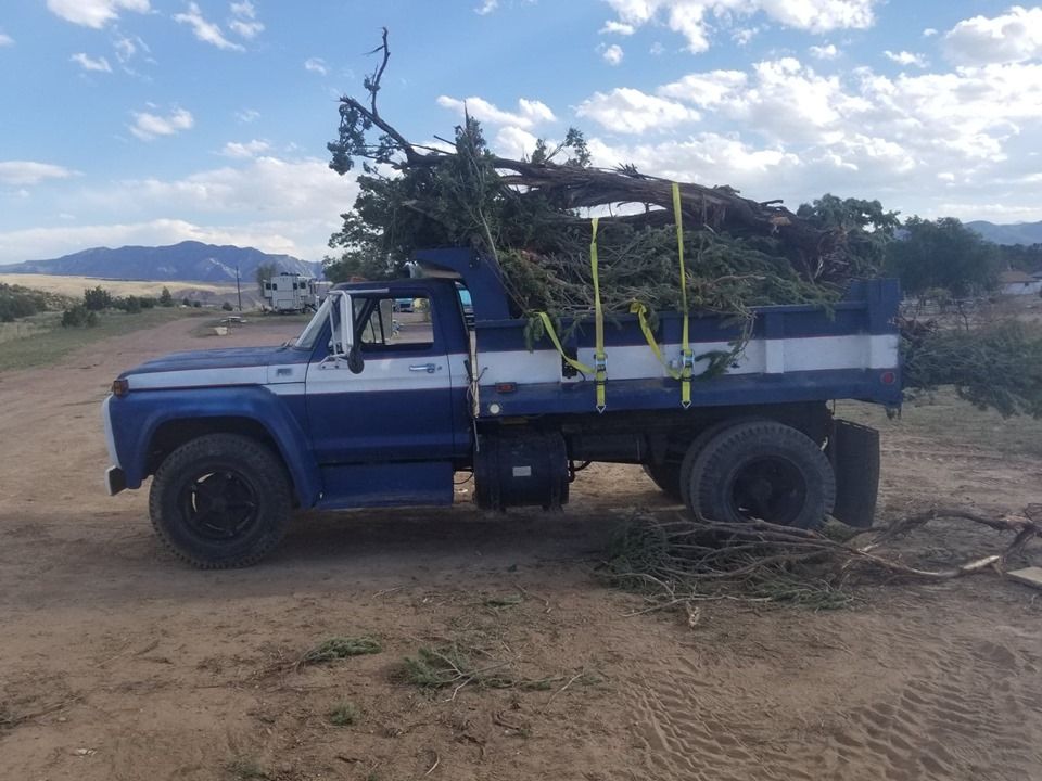 Other Services for Langston Tree & Landscape in Canon City, CO