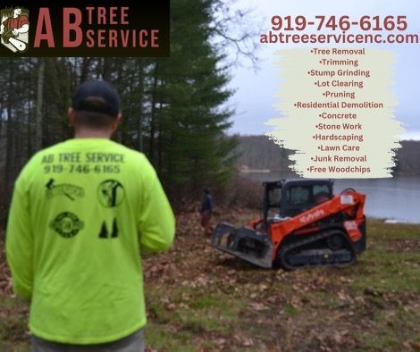 All Photos for AB Tree Service in Raleigh, NC