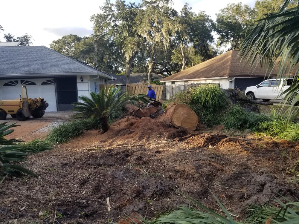 Tree Removal for Spruce Creek Tree Service in Port Orange, FL