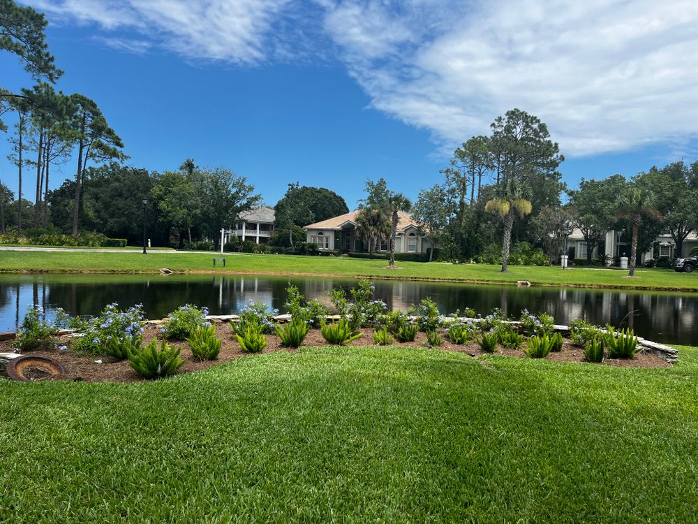 Landscaping for Pro Designs Landscaping LLC in Jacksonville, FL