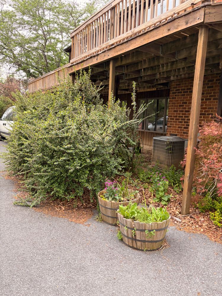 All Photos for Valencia’s Lawncare in Charlottesville, VA