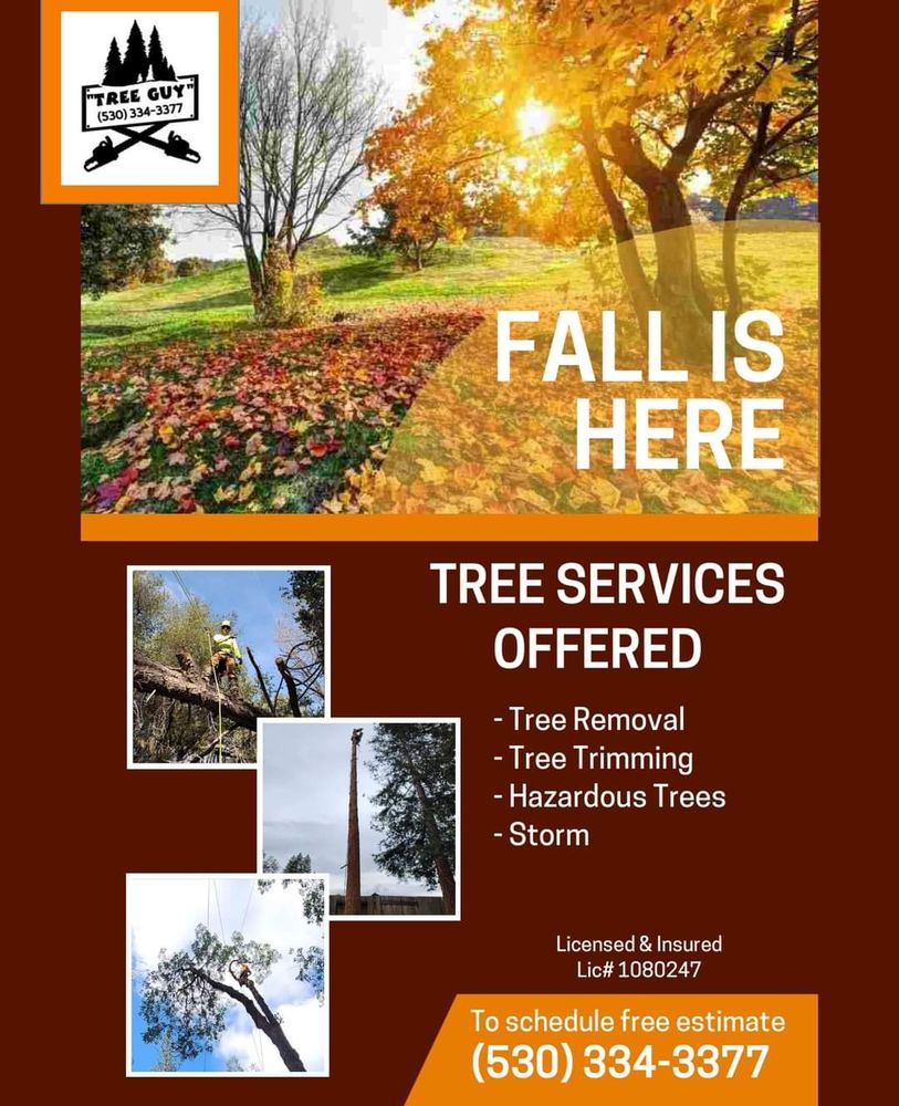 Enhance your property's beauty and safety with our professional tree trimming service, designed to promote healthy growth, prevent hazards, and maintain the perfect shape for your trees all year round. for George Staddan's Professional Tree Care in Placerville, CA