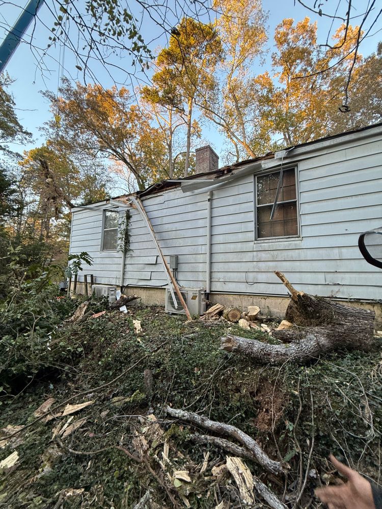 All Photos for Lucky’s Tree Removal and Landscape Services in Clinton, TN