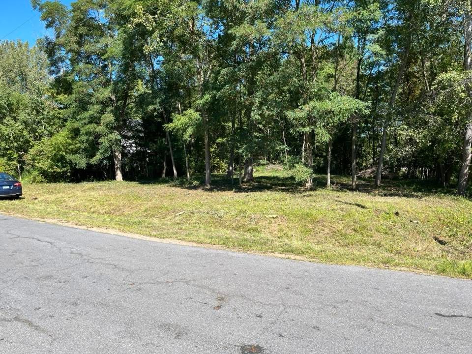 Land Clearing for Lovenguth Logging and Tree Service in West Monroe, NY