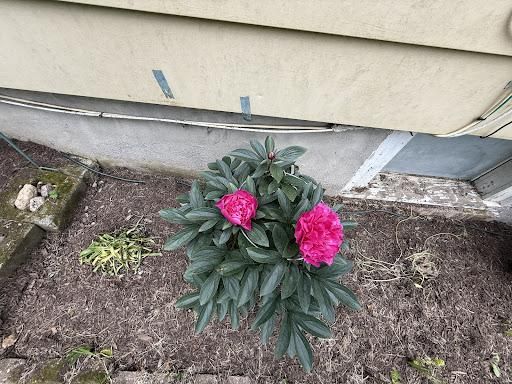 All Photos for Ardisi Landscaping & Design in Poughkeepsie, NY 