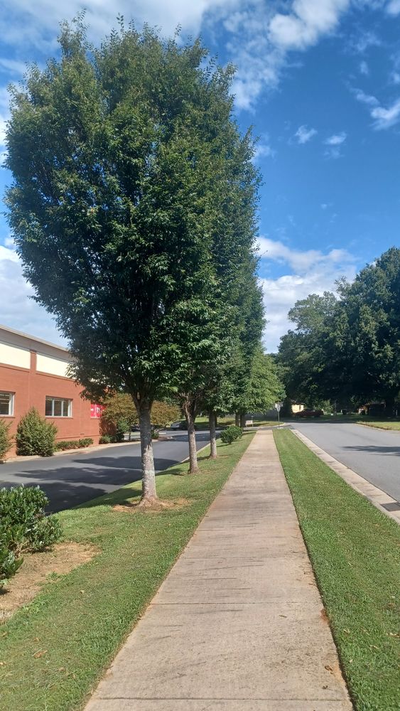 All Photos for Rocky's Pressure Washing & Lawn Care in Mooresville, NC