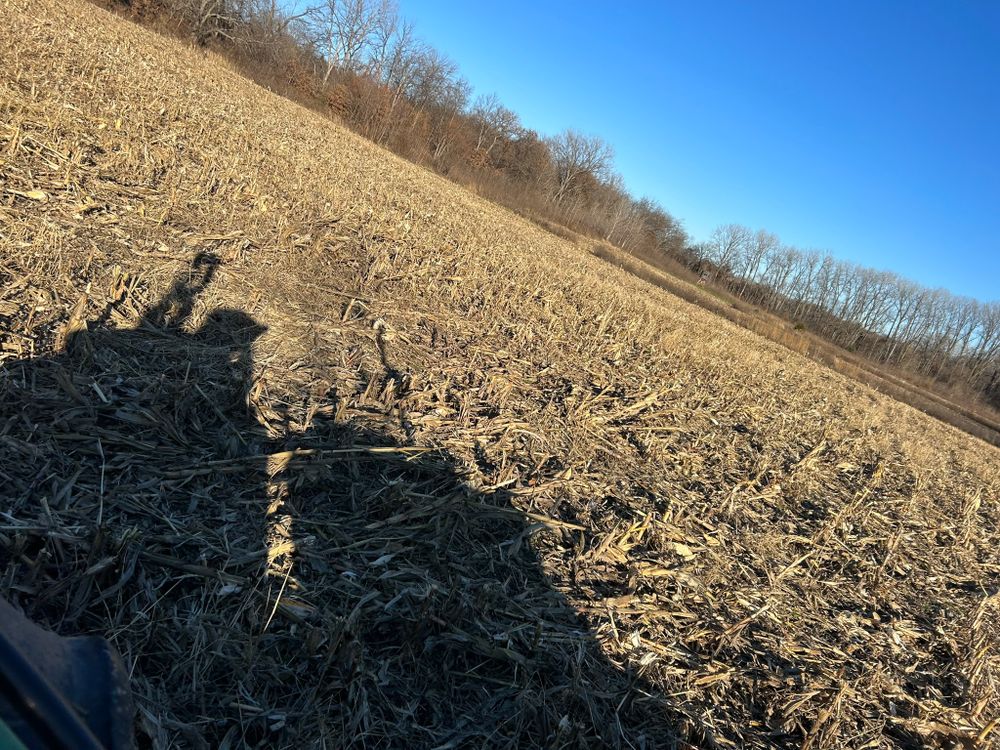 All Photos for Two Young Bucks in Leon, IA