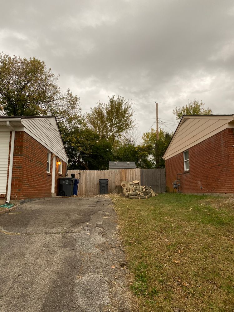 All Photos for Houtz Tree Service in Lexington, KY