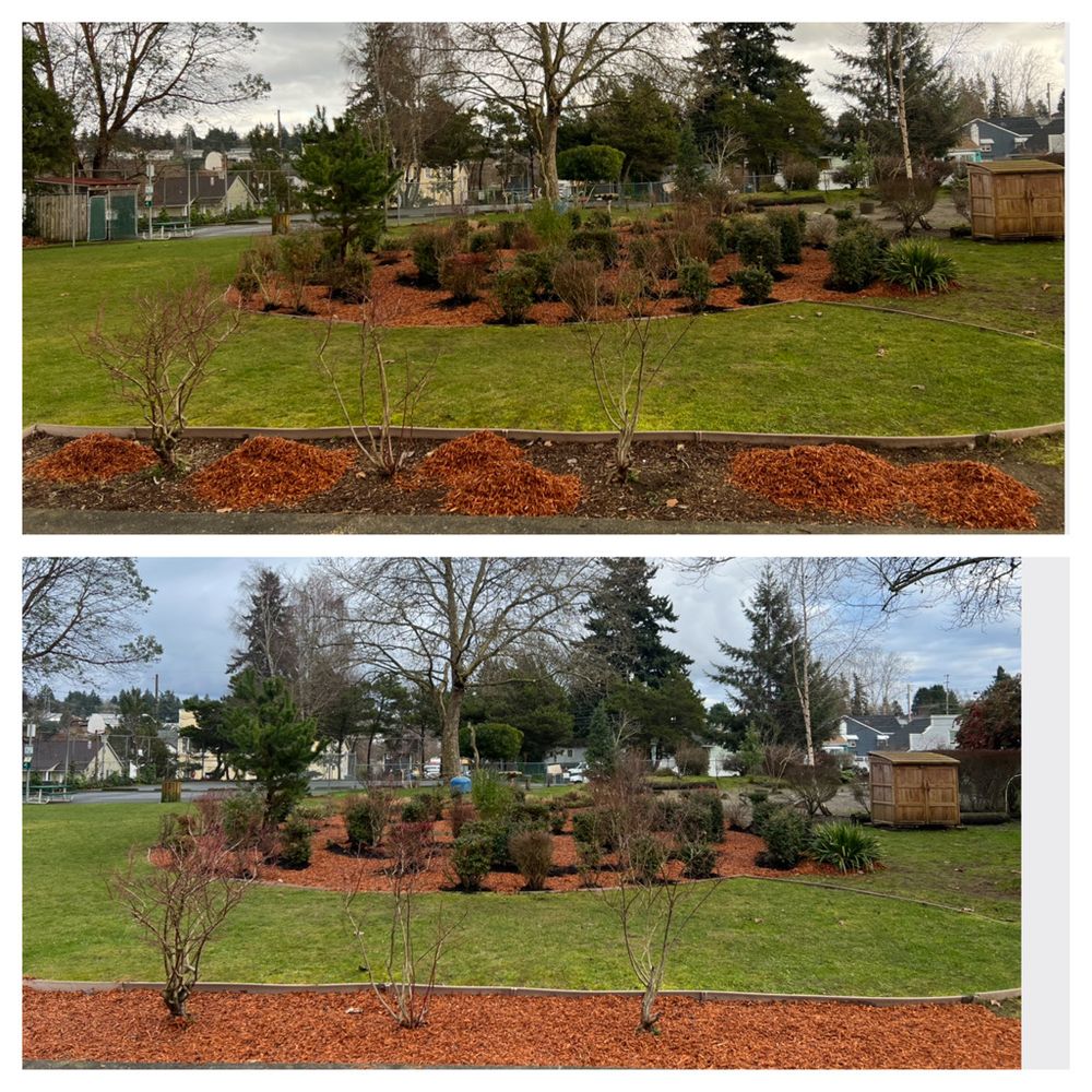 All Photos for Hall of Fame Landscaping in Bremerton, WA