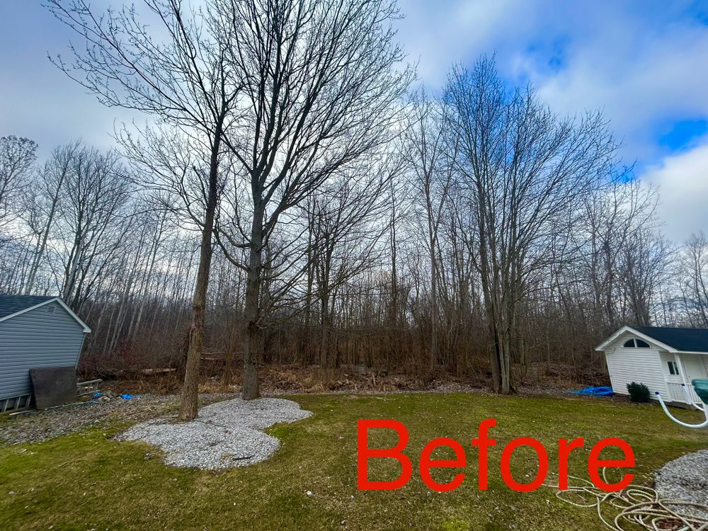 Tree Removal for S.H. Tree Service LLC in Hilton, NY