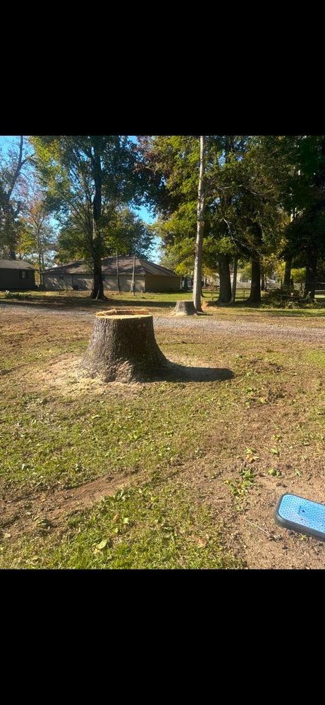 All Photos for Morace Tree Service in Natchez,,  MS