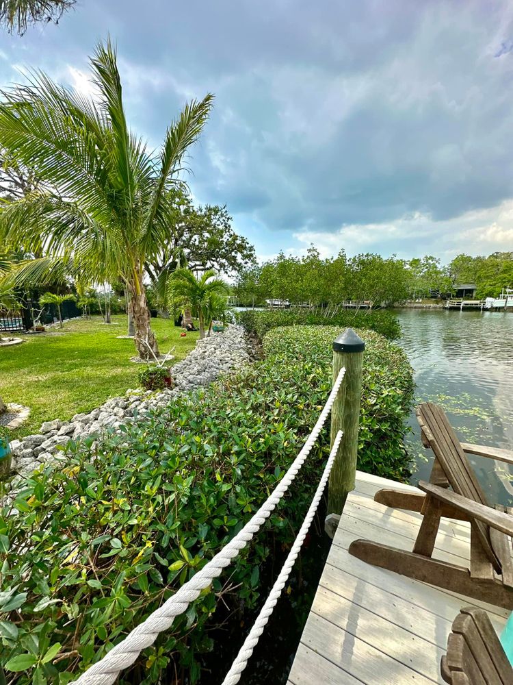 Tree Removal for MX Trees LLC in Englewood, FL