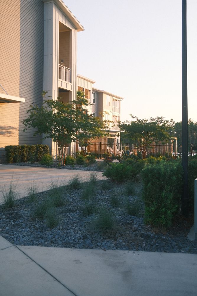 Wildlight for Pro Designs Landscaping in Jacksonville, FL