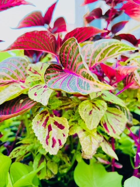 All Photos for Rustic Roots Landscaping in Austin, TX