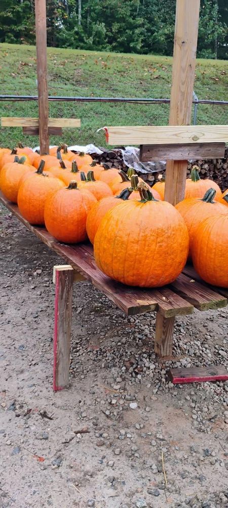 All Photos for BAM Another Pinestraw Lot in Flowery Branch, GA