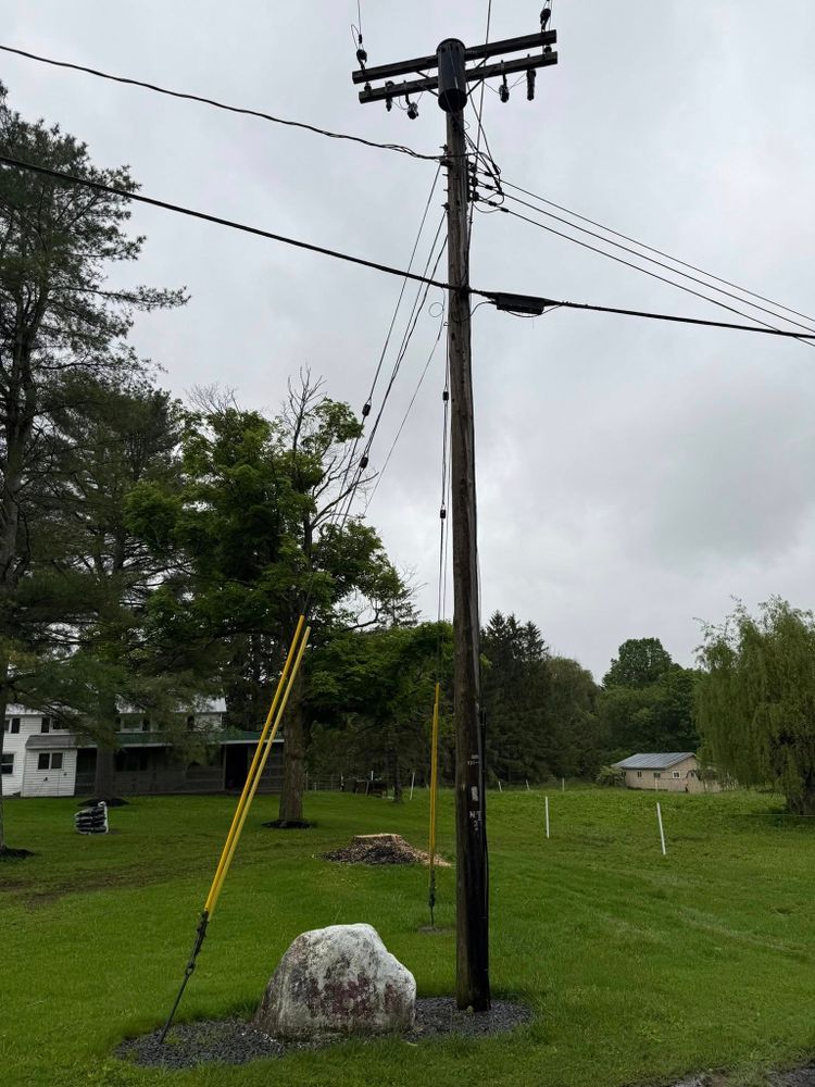 Tree Removal for Sterlings Tree Removal in Cobleskill, New York