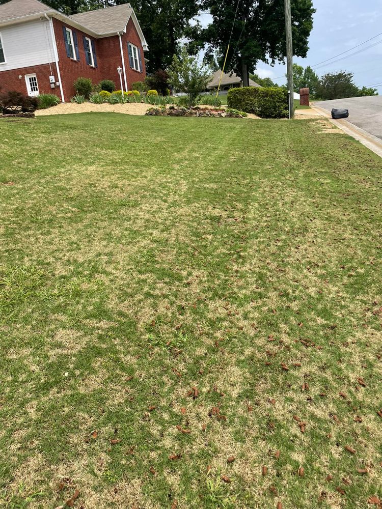 Mowing for All About Lawns in Trussville, AL