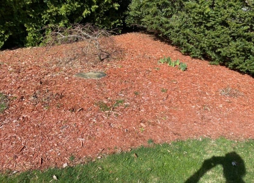Revitalize your outdoor space with our fall and spring clean up services, removing debris, pruning plants, and refreshing mulch to ensure a pristine landscape ready for every season. for Dibs Landscaping LLC in Cheshire, CT