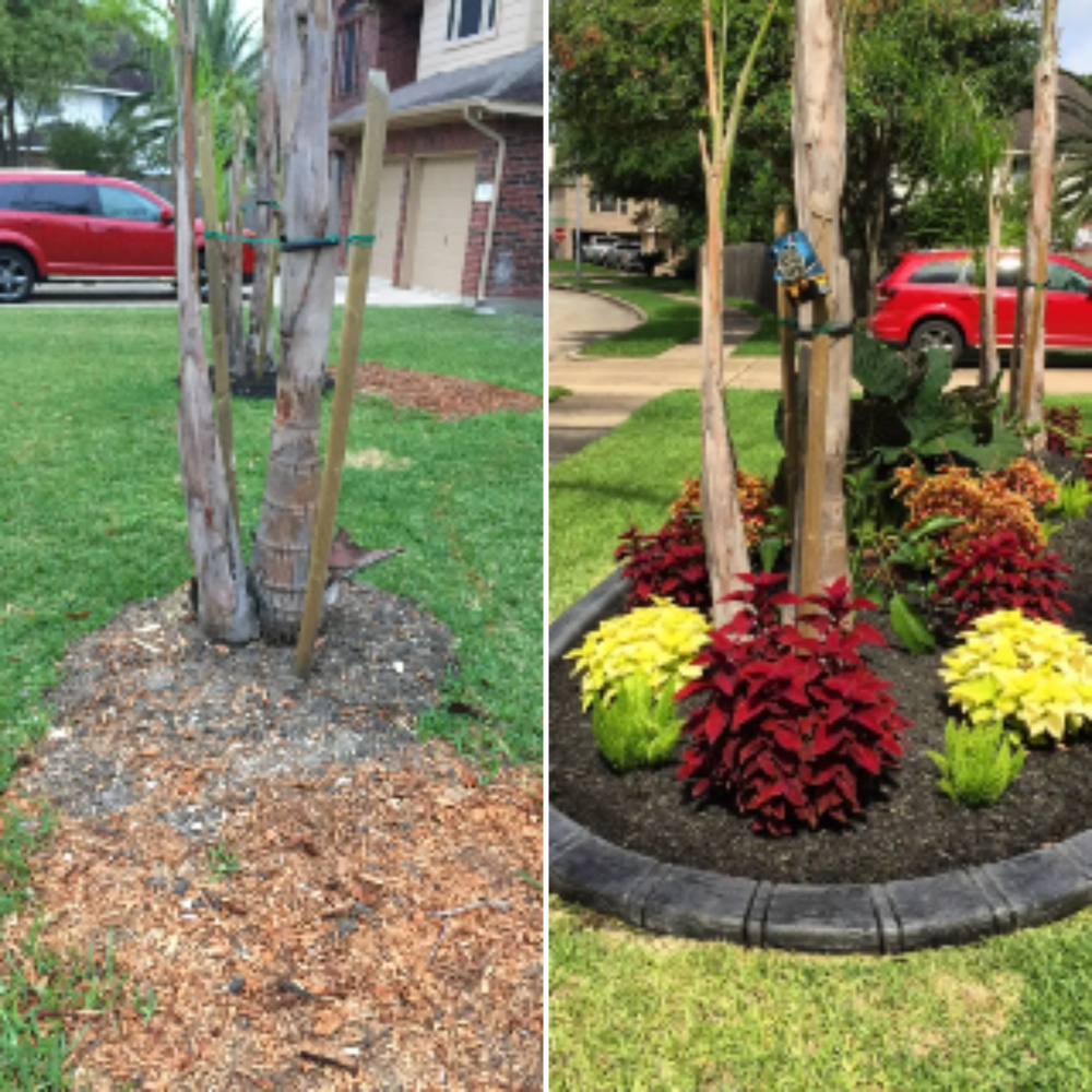 Before & Afters for Texas Curb N Borders in Houston, TX