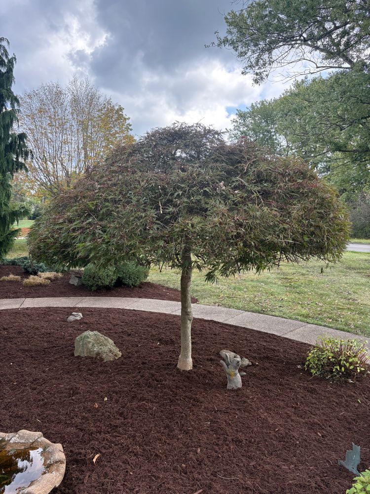 All Photos for Cam Yardz in Washington, PA