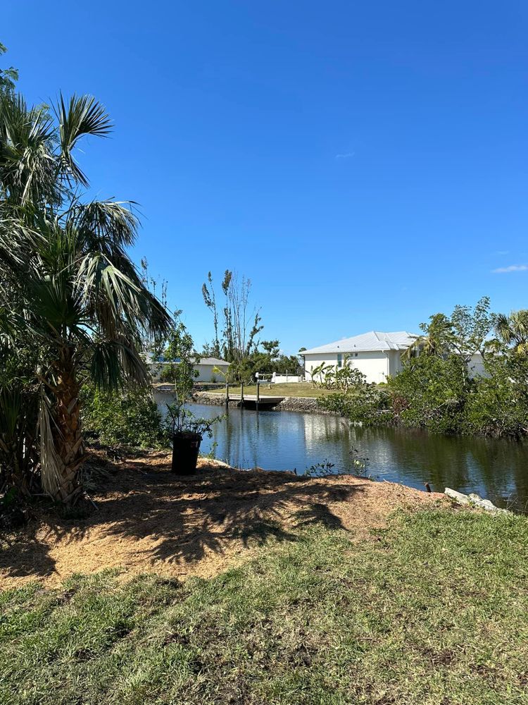 Tree Removal for MX Trees LLC in Englewood, FL