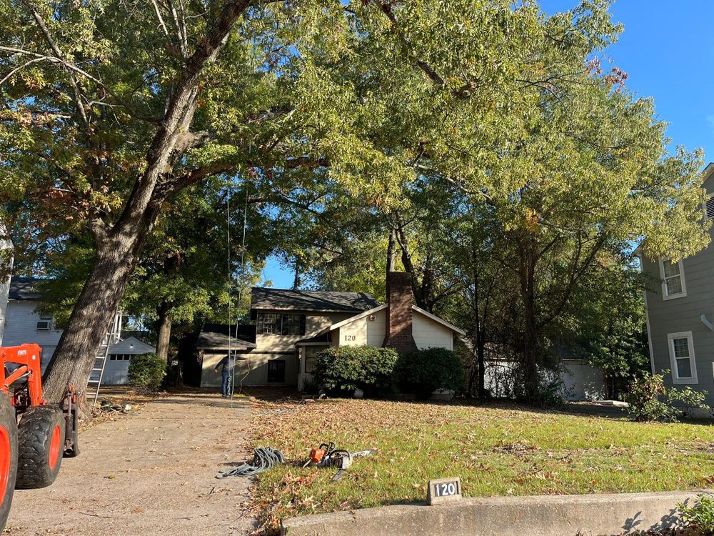 All Photos for JC Land and Tree Service in Kilgore, TX