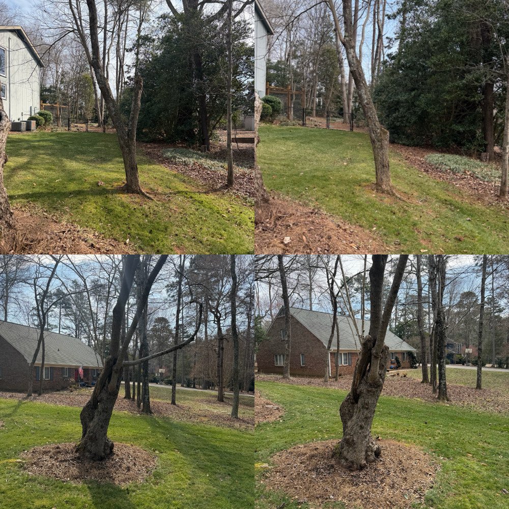 All Photos for Holloway Yard Company in Greensboro, NC