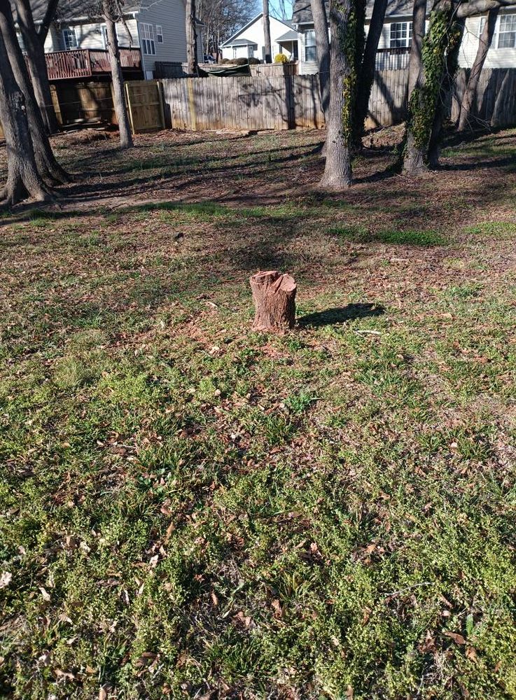 Landscaping for Lindsey's Lawn Care in Inman, SC