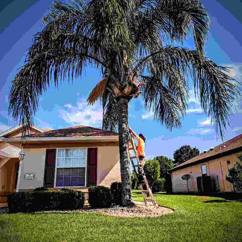 All Photos for TopNotch Landscaping Services  in The Villages, FL