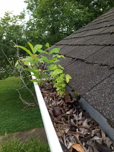 All Photos for Olmedo Home Services in Davie County, NC