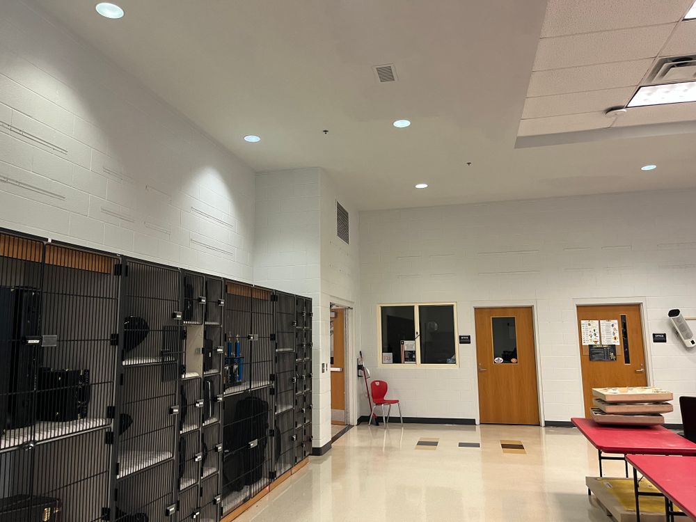 All Photos for Ain't Just Paint Divas in Fort Mill, South Carolina