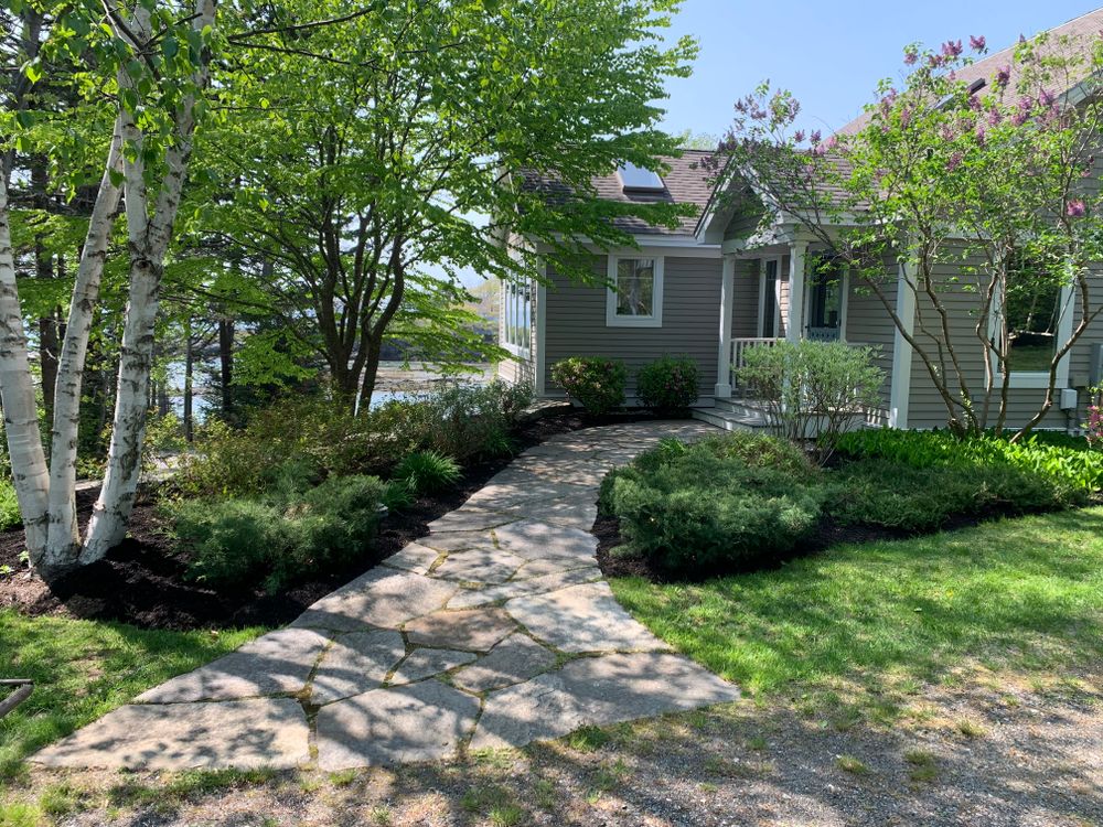 All Photos for Natural Roots in Georgetown, ME