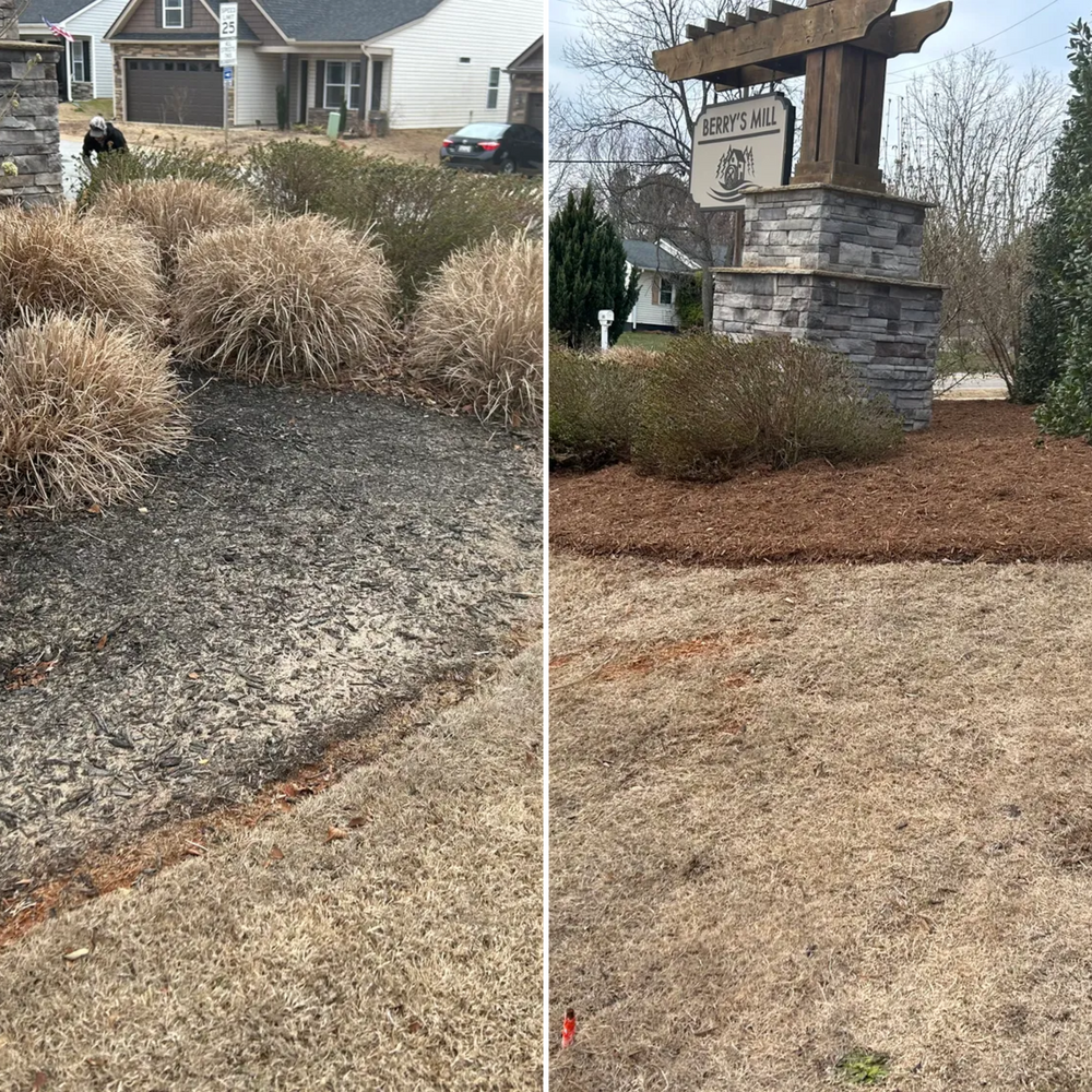 All Photos for Upstate Precision Landscaping in Moore, SC