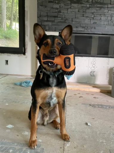 Looking Glass Builders LLC team in Asheville, North Carolina - people or person