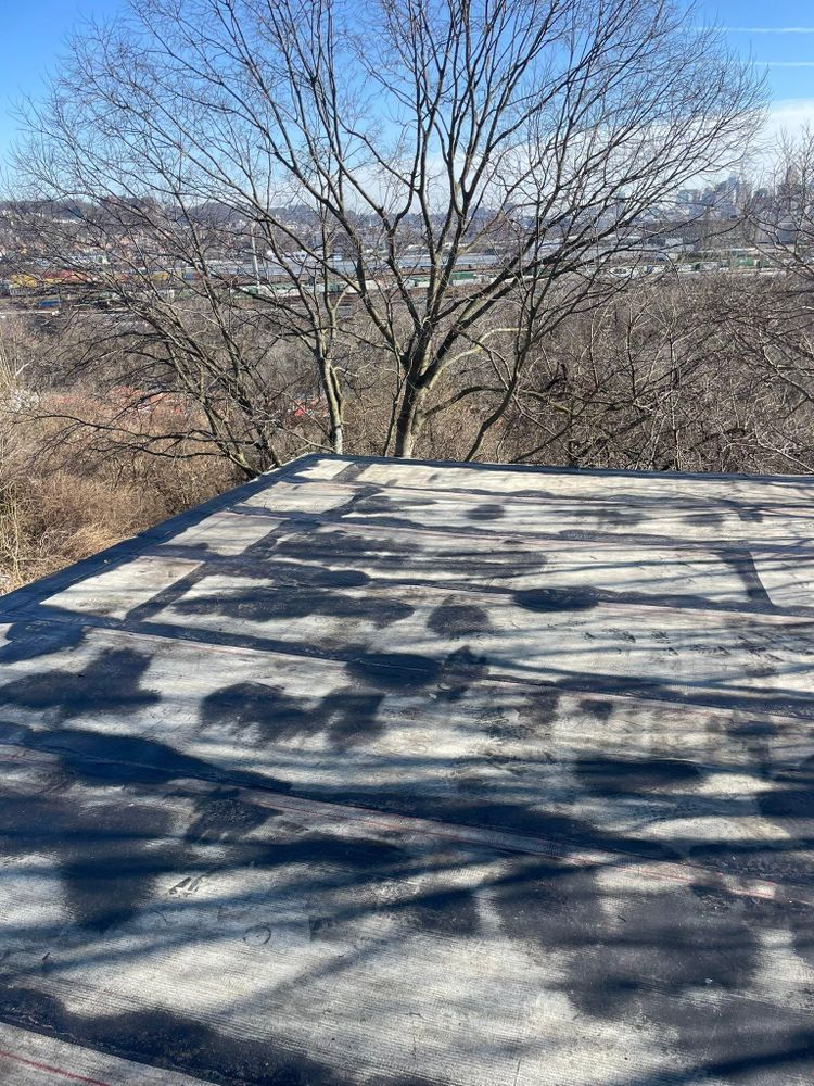 All Photos for Precious Roofing in Madeira, OH