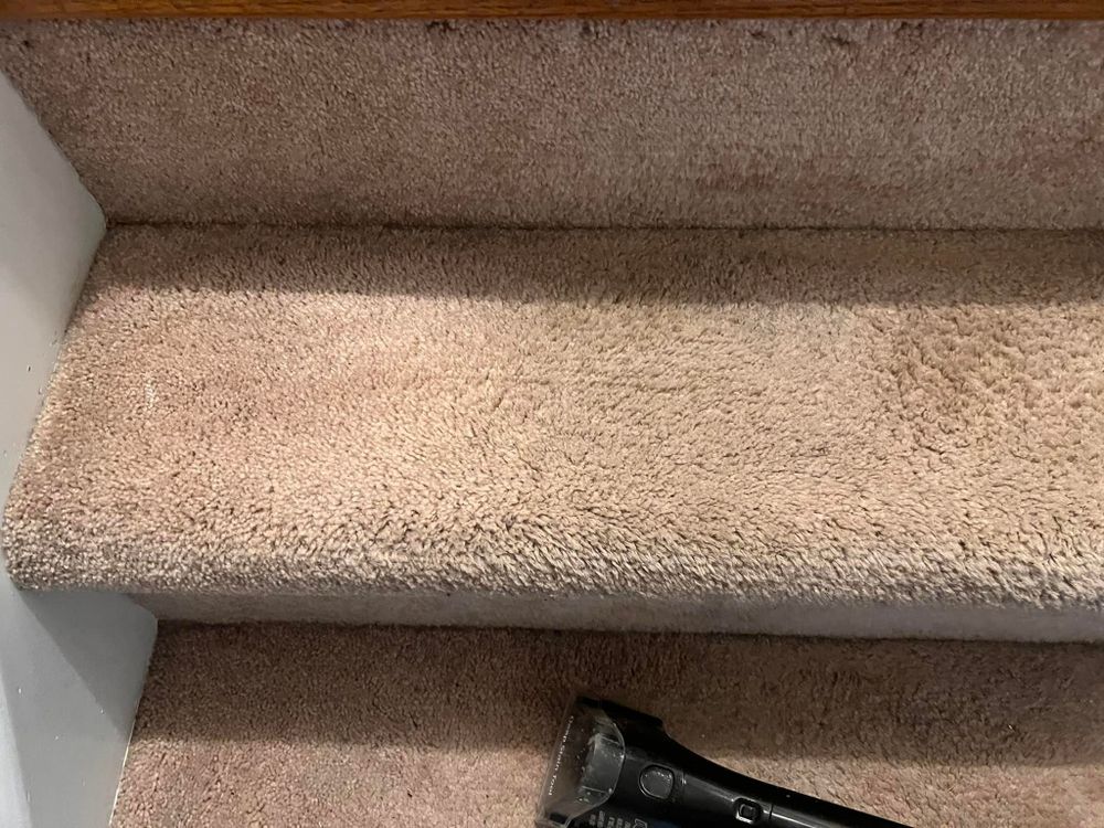 All Photos for Ricas Color Carpet Dyeing Services in New Britain, CT