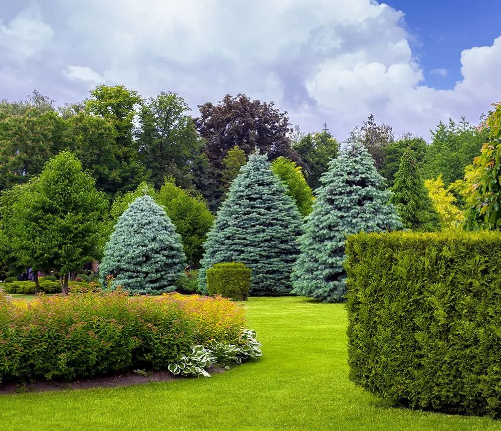 Enhance your home's curb appeal with our professional Bush Trimming service, ensuring neat, healthy plants that beautifully complement your landscape while promoting growth and maintaining the aesthetics of your garden. for Jordan Lawn Care in Aldie, VA