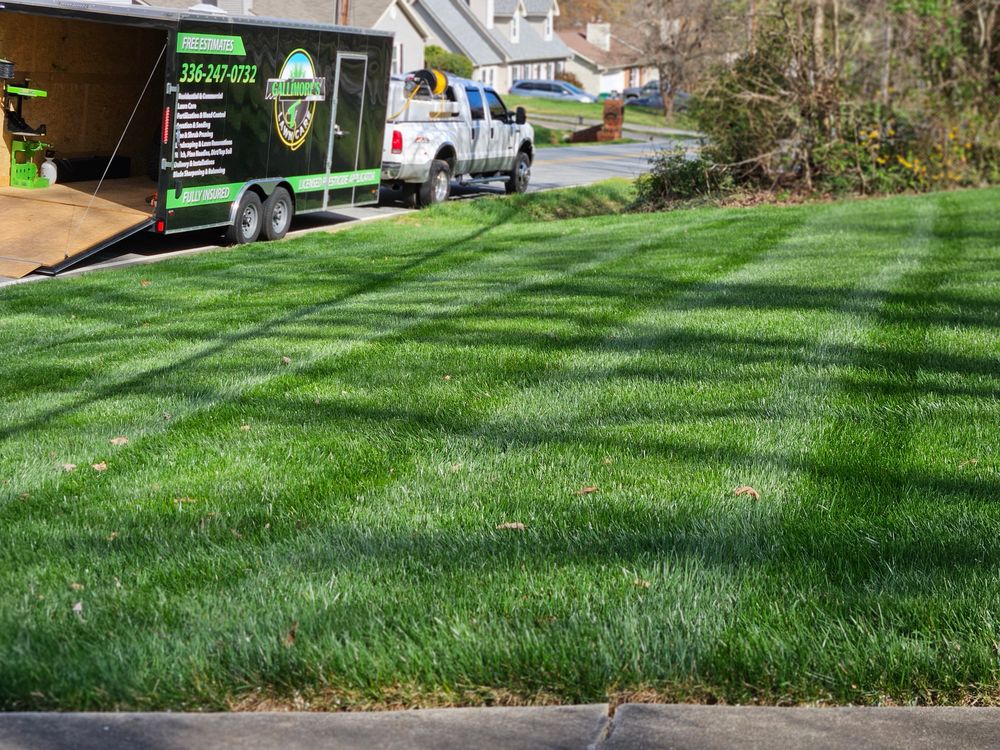 Lawn Care for Gallimore’s Lawn Care in Thomasville, NC