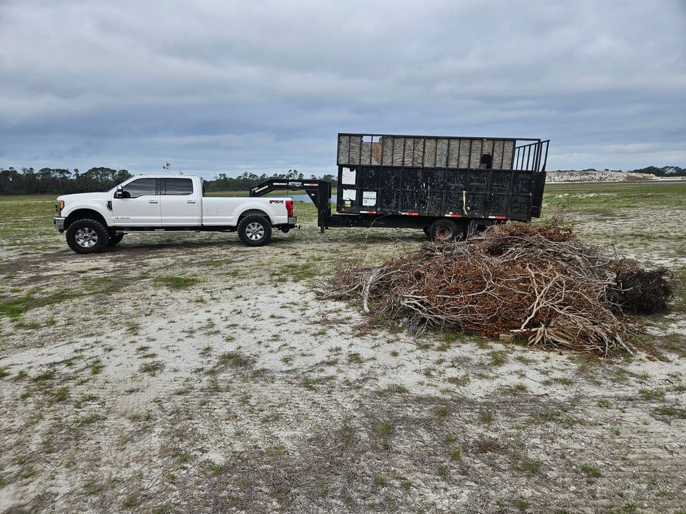 All Photos for Bay Area Bobcat in Riverview, FL