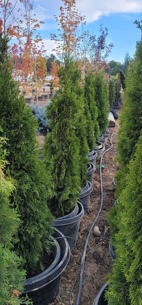 All Photos for Mike's Grading Plus in Caldwell, ID