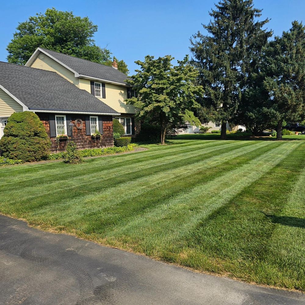 All Photos for Trippin A-Lawn in Bethlehem, PA