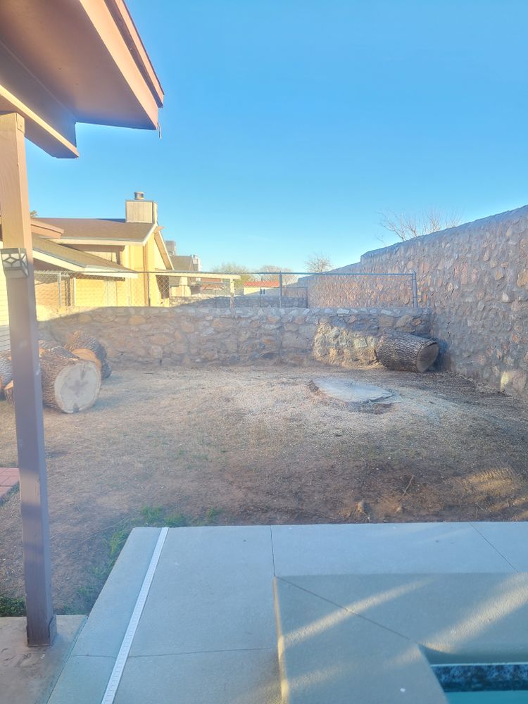 Residential Tree & Shrub Removal for ADM Landscaping & Irrigation LLC in El Paso,  TX