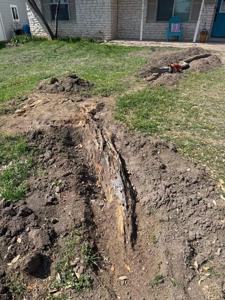 All Photos for Oakley’s Stump ‘N Grind in Leander, TX