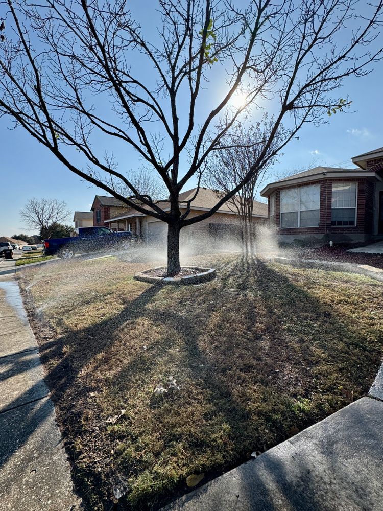 All Photos for Bright Green Irrigation System in San Antonio, TX