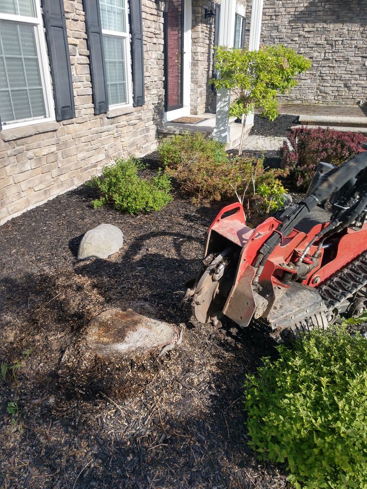 Stump Removal for TH Property Service, LLC in Manlius, NY