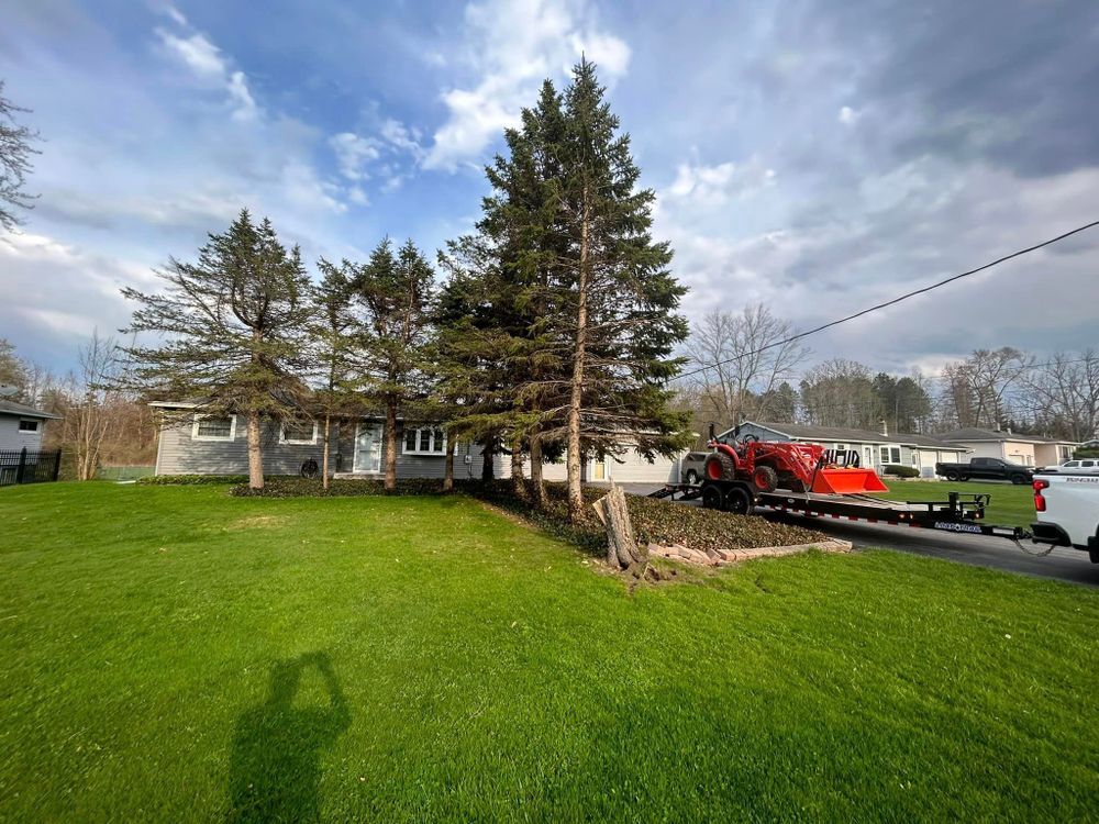 Other Services for S.H. Tree Service LLC in Hilton, NY